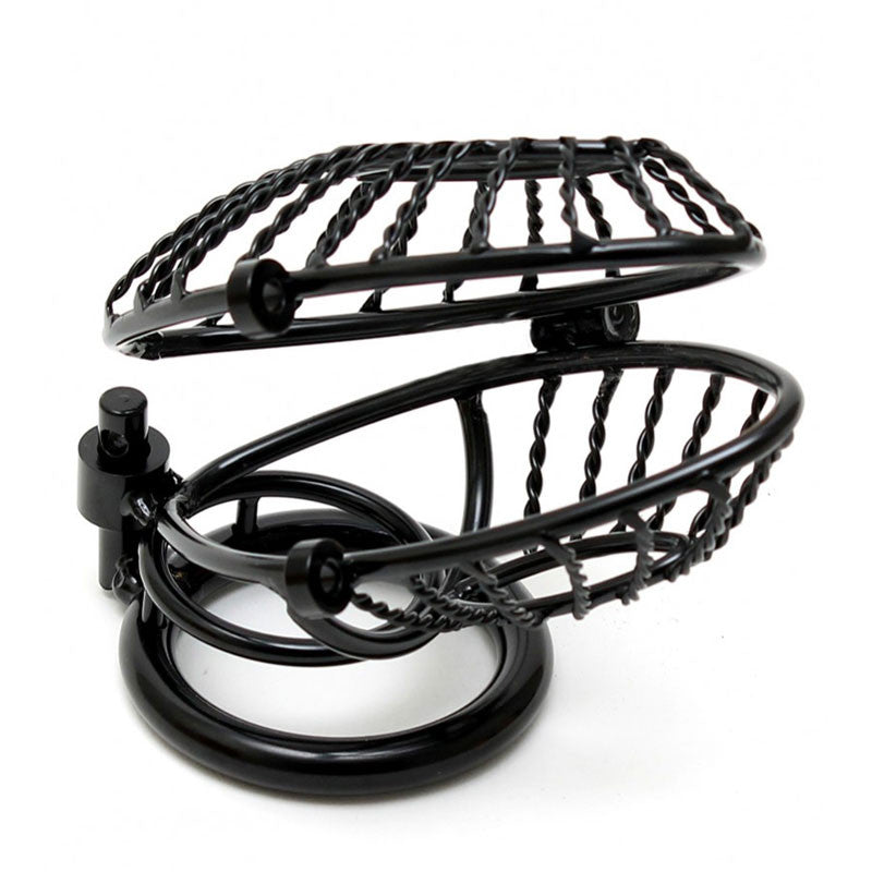Cage de chasteté avec 2 cadeanas