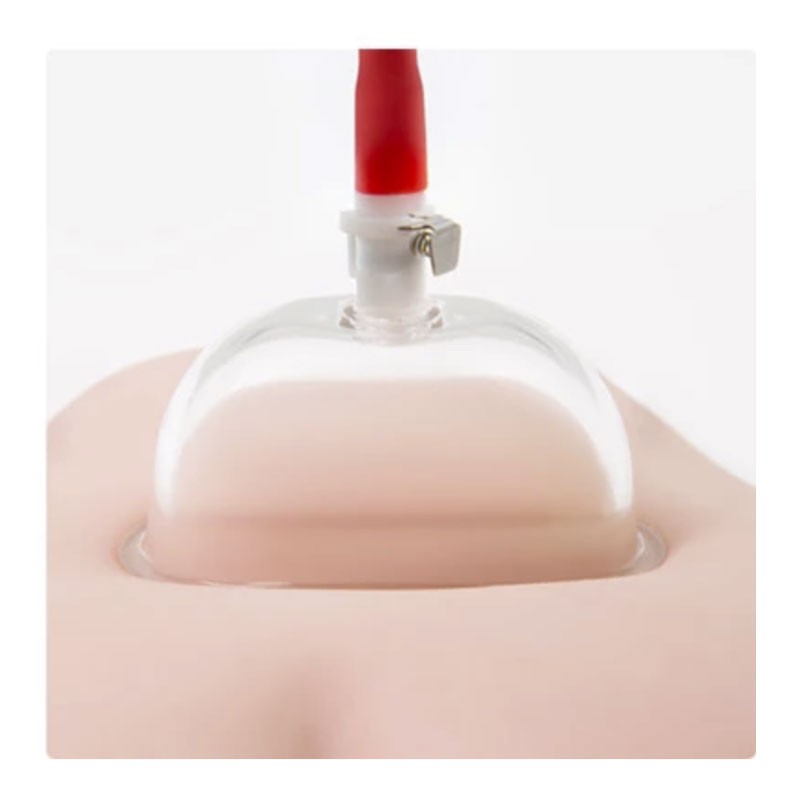 Pompe vaginale avec coupe transparente Temptasia