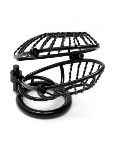 Cock Cage with 2 padlocks