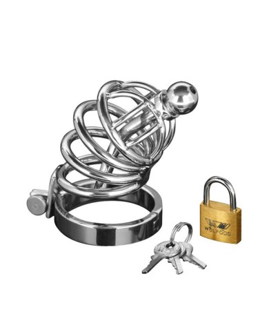 Cage à Pénis avec cadenas - Master Series Asylum 4 (S/M) Cage à Pénis avec cadenas - Master Series Asylum 4 (S/M)