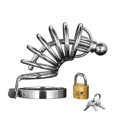 Cock cage with padlock - Master Series Asylum 6 (M/L)