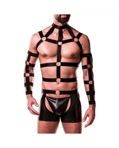 Harness set 20050 4 pieces (Black) - Grey Velvet