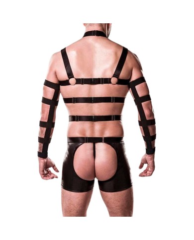 Harness set 20050 4 pieces (Black) - Grey Velvet