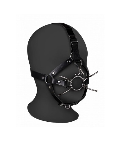 Face harness with spider gag and nose hooks - Ouch!