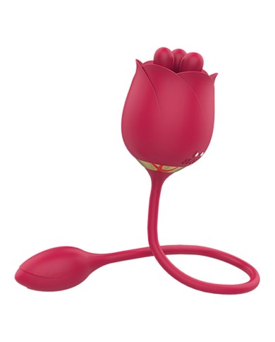 Vibromasseur et Stimulateur Clitoridien Bloomora - Sensora