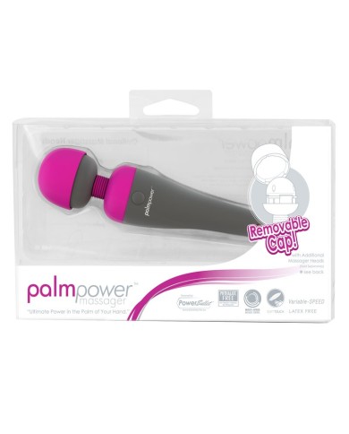 PalmPower Wand Vibrator - Power Bullet