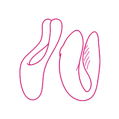 Sextoys couples : partagez le plaisir à deux, autrement