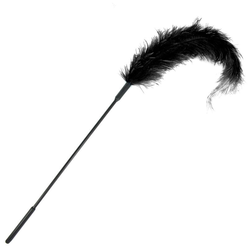 Plume d’autruche à chatouiller BDSM Body Tickler – Sportsheets