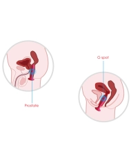 Svakom Primo Noir - Plug anal chauffant & vibrant