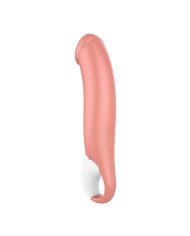 Satisfyer Vibes Master - Stimulator