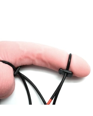 Electrosex Penisring un Ballring Mystim Rodeo Robin