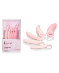 Dilatateurs en silicone Inspire (5 pièces) - Calexotics