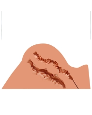 Realistic masturbator Fantasy Girl Hannah