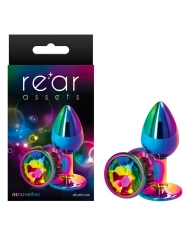 Anal Plug Alu Rear Assets Rainbow (S) - NS Novelties