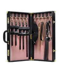 BDSM-Kit-Koffer (10 Zubehörteile) - Blush Temptasia Safe Word