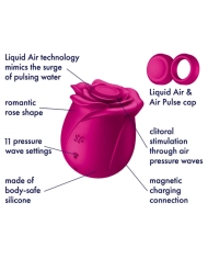 Stimulateur clitoridien - Satisfyer Pro 2 Classic Blossom