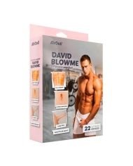 Bambola gonfiabile - AirDoll David Blowme