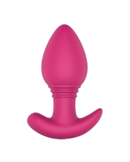 Vibrierender Anal-Plug - EasyToys Axel