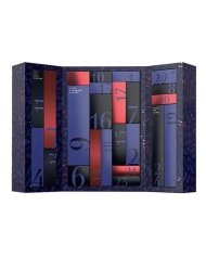 Satisfyer Premium 2024 erotic advent calendar