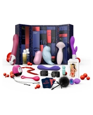 Satisfyer Premium 2024 erotic advent calendar