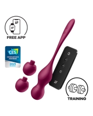 Boules de geisha vibrantes Love Birds Vary - Satisfyer