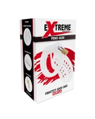 Cage de chasteté en acrylic (transparent) - Hidden Desire