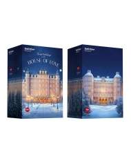 Calendrier érotique de l'Avent Satisfyer Premium 2025