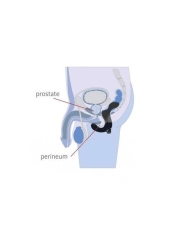 Vibromasseur prostatique Fun Factory Duke Noir