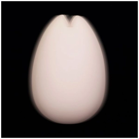 Tenga iroha Sakura - Vibratore