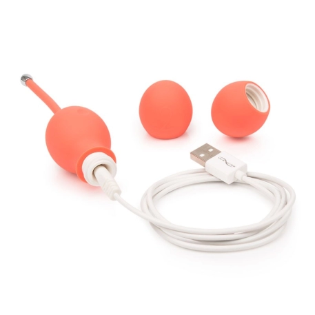 We-Vibe Bloom - Palline di geisha connessi