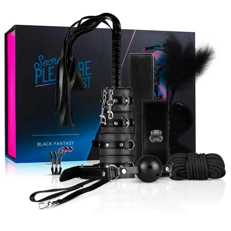 Romantico BDSM Kit - LoveBoxxx Secret Pleasure Chest