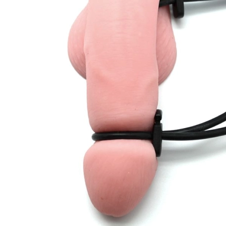 Electrosex Penisring un Ballring Mystim Rodeo Robin