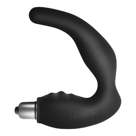 Anal-Vibrator - Rocks-Off Naughty Boy