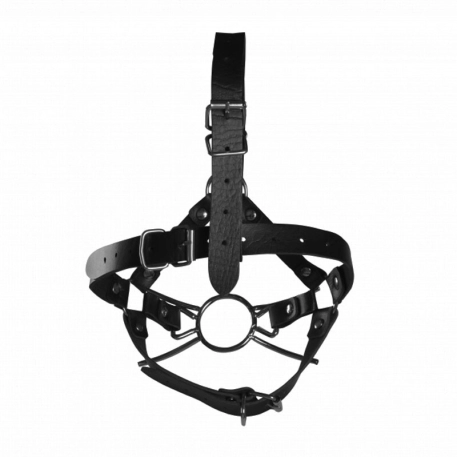 Face harness with spider gag and nose hooks - Ouch!