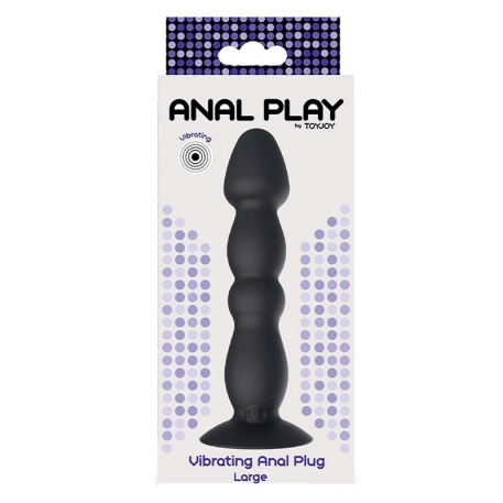 Vibrating anal plug (Large) - ToyJoy Anal Play