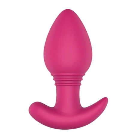 Vibrierender Anal-Plug - EasyToys Axel