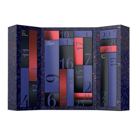 Satisfyer Premium 2024 erotic advent calendar
