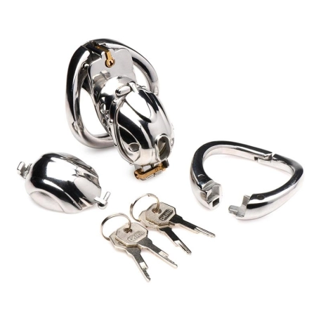 Metal chastity cage - Master Series Entrapment