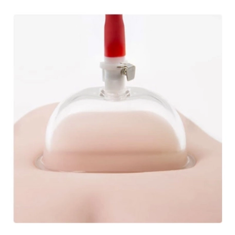 Temptasia vaginal pump with transparent cup