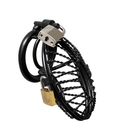 Peniskäfig mit 2 padlocks
