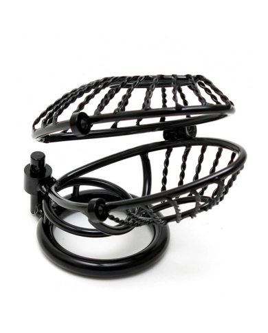 Cock Cage with 2 padlocks Cock Cage with 2 padlocks