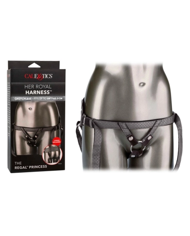 Offenes Harness 
