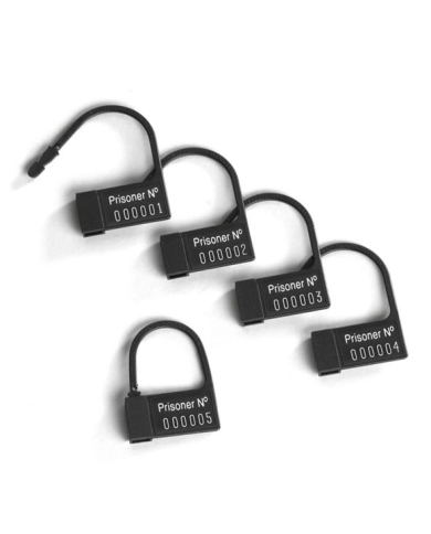 Cage de chasteté Public Enemy No 1 Clear - Mystim