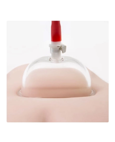 Pompa vaginale con tazza trasparente Temptasia Pompa vaginale con tazza trasparente Temptasia