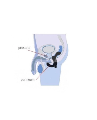 Stimolatore prostatico vibrante Fun Factory Duke Nero Stimolatore prostatico vibrante Fun Factory Duke Nero