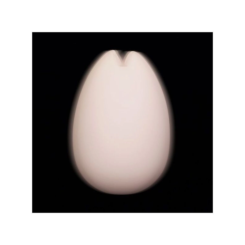 Tenga iroha Sakura - female sextoy