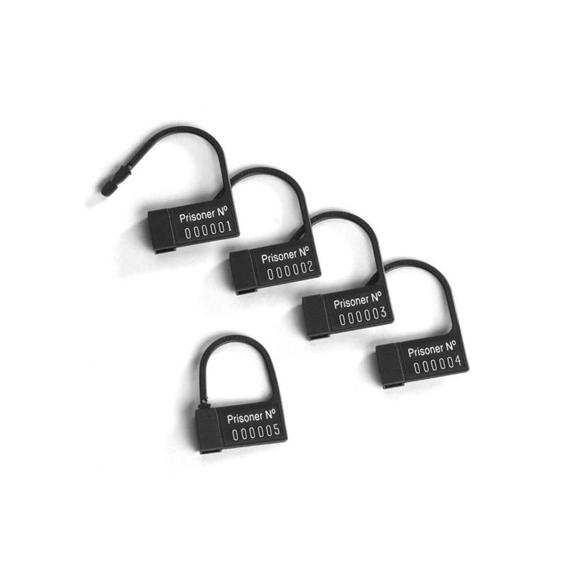 Gabbia di castità Public Enemy No 1 Clear - Mystim