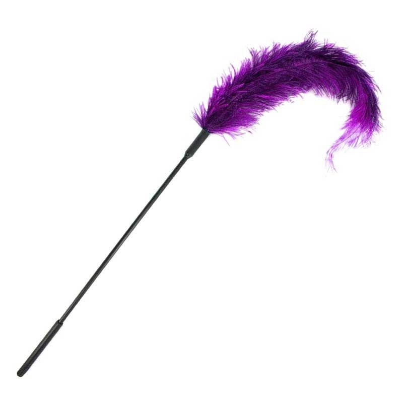Plume d’autruche à chatouiller BDSM Body Tickler (Violet) – Sportsheets