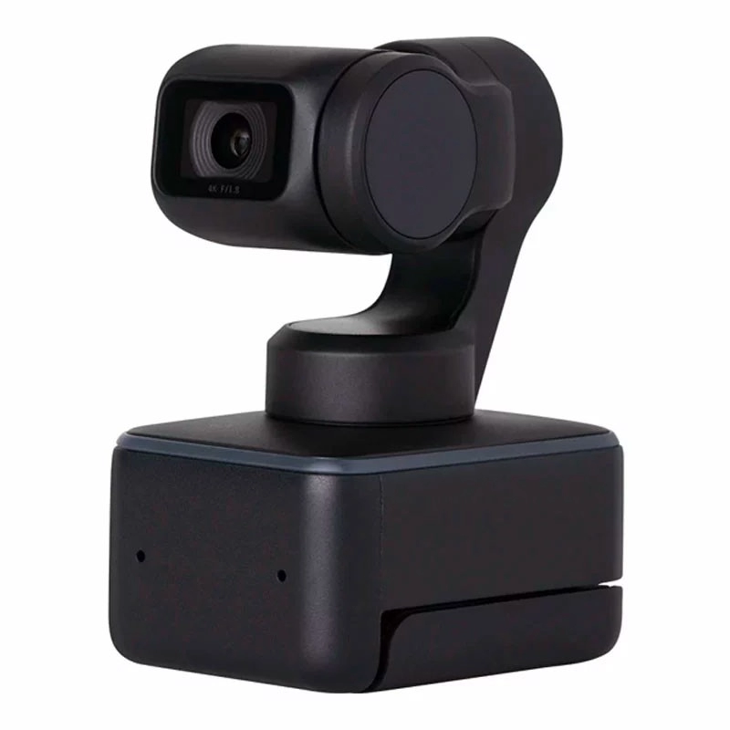 AI 4K webcam for live streaming - Lovense