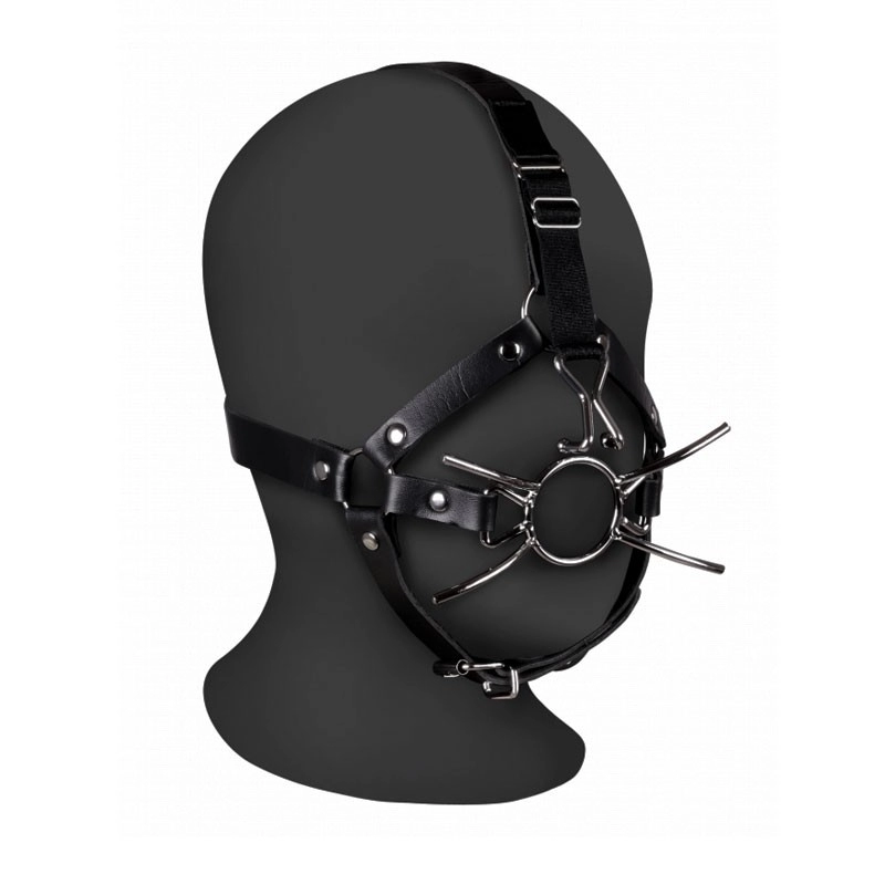 Face harness with spider gag and nose hooks - Ouch!